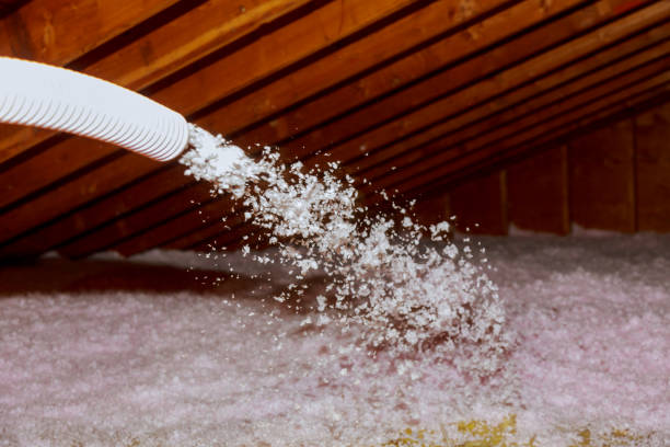 Best Commercial Insulation in Allendale, MI