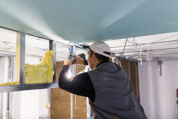 Best Types of Insulation in Allendale, MI