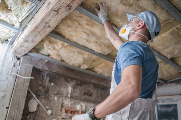Best Insulation Materials and Products in Allendale, MI