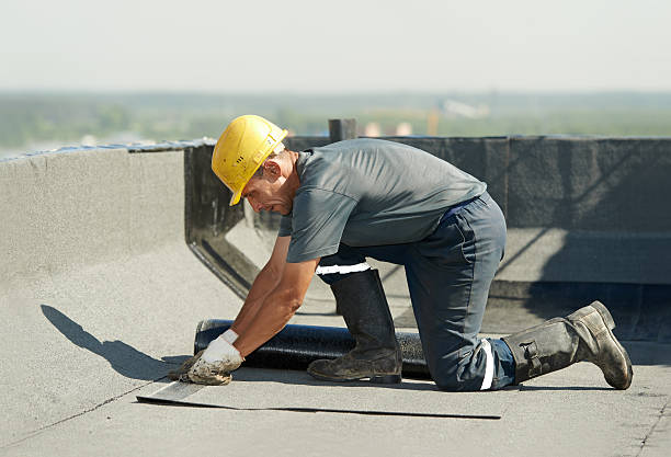 Best Residential Insulation in Allendale, MI