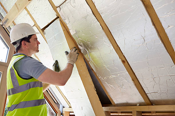 Best Residential Insulation in Allendale, MI