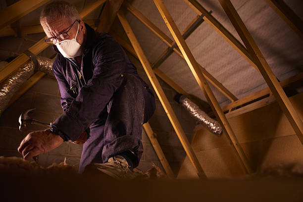 Best Specialty Insulation in Allendale, MI