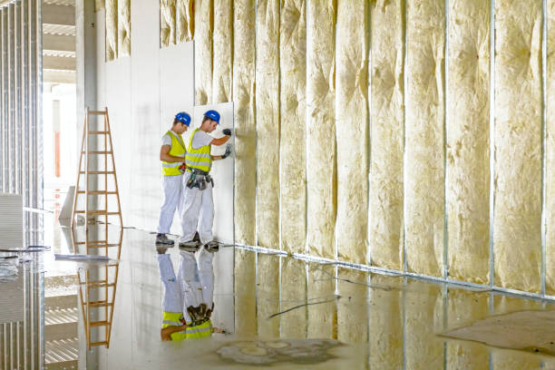 Best Insulation Installation Services in Allendale, MI